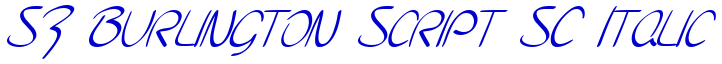 SF Burlington Script SC Italic フォント